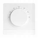 Salus Quantum Smart Home rumtermostat