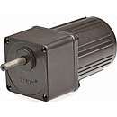 Gear motor YN60 15RPM